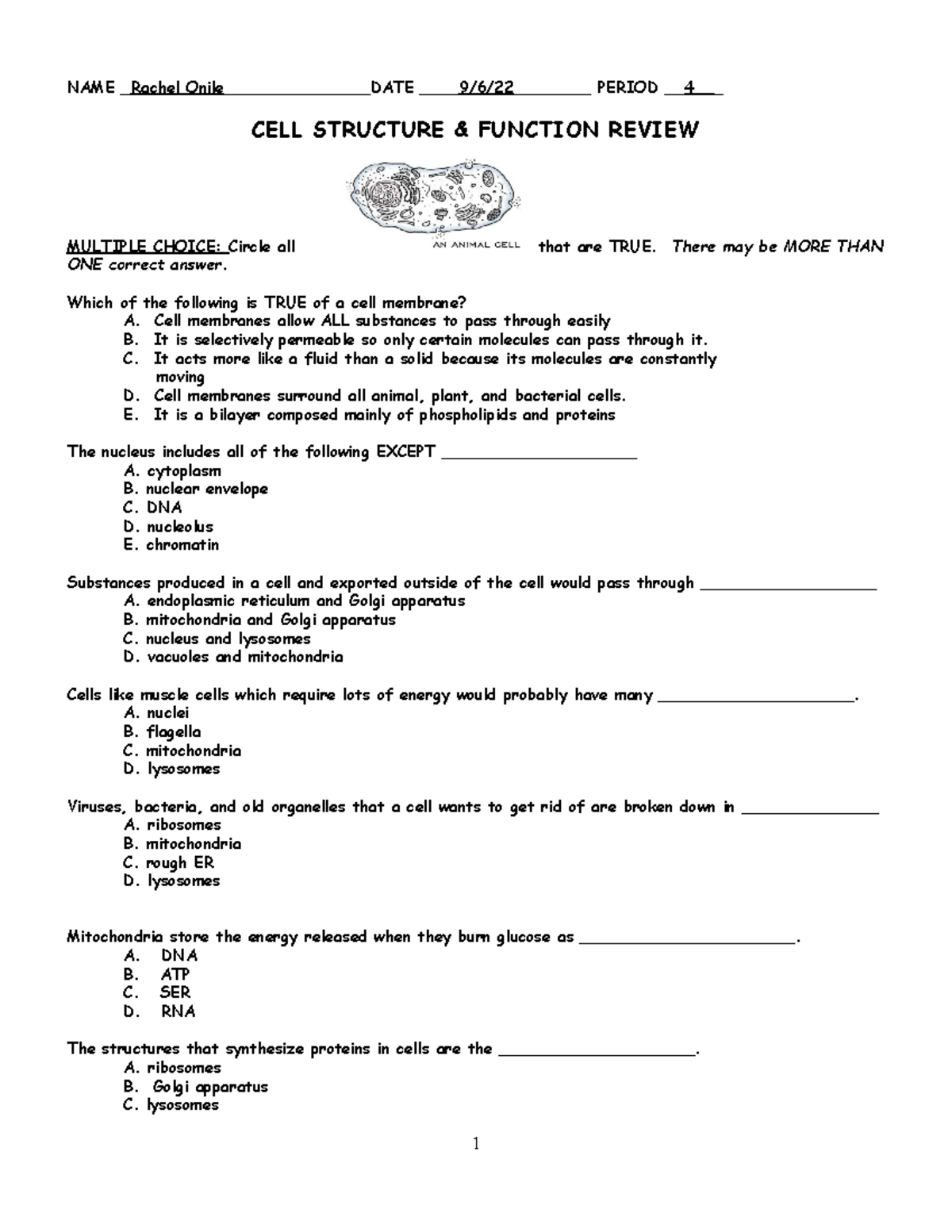 Rachel Onile's Cell Structure Study Guide - NAME Rachel Onile ...