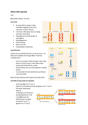 Dna Replicatiediagram DNA Erfelijke Materiaal Twee Nucleotiden Ketens