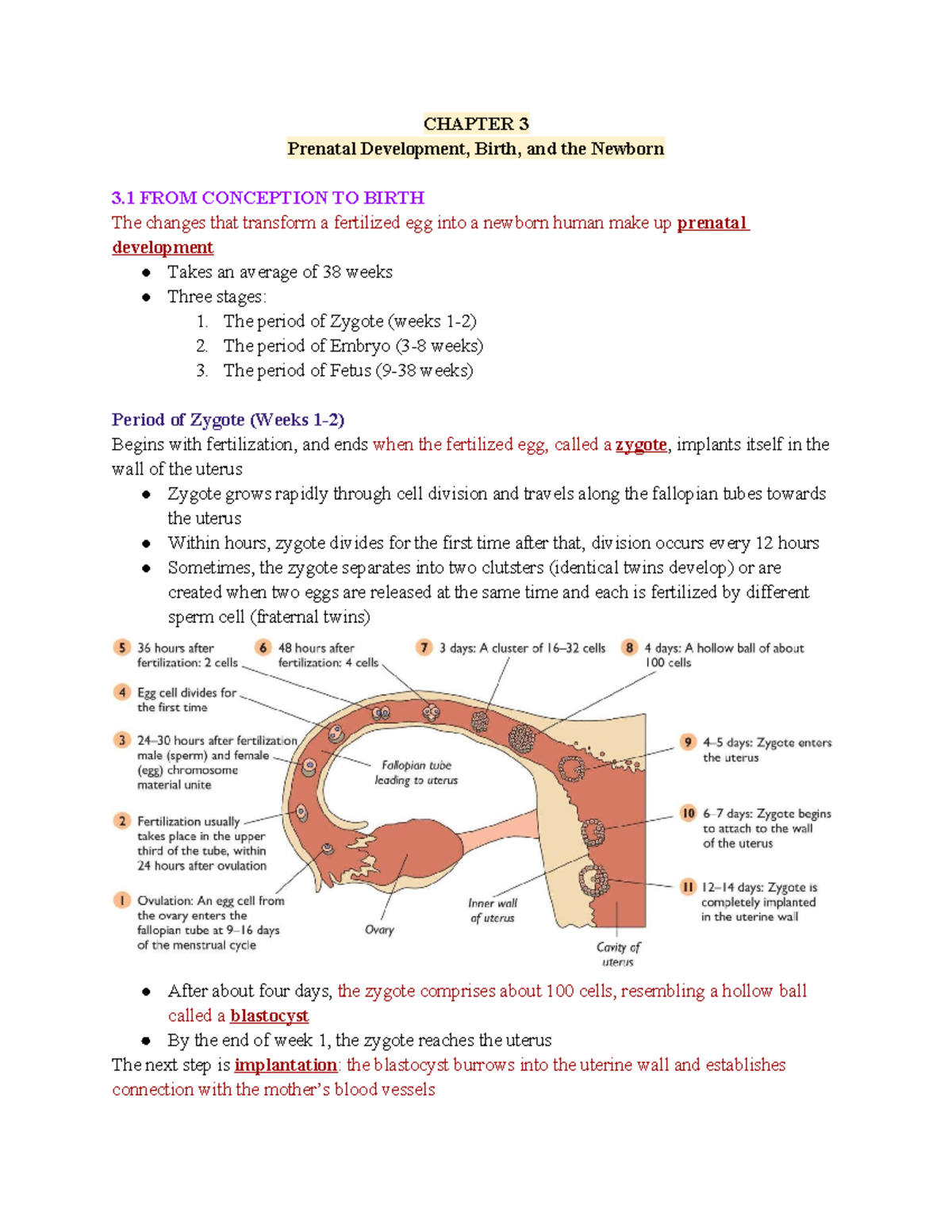 Chapter 3 - Prenatal Development & Newborn Notes (PSY 101) - Studocu
