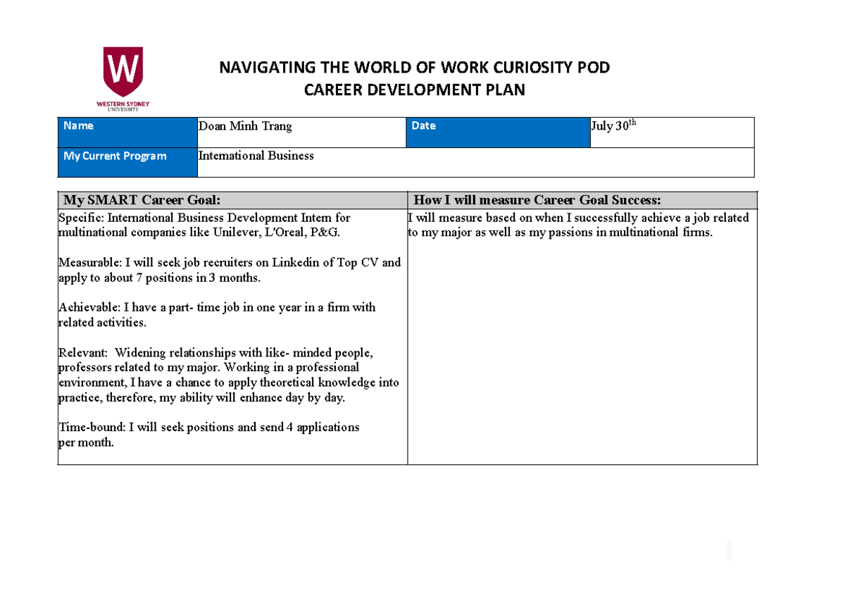 CDP: Career Development Plan - Navigating Work in International ...