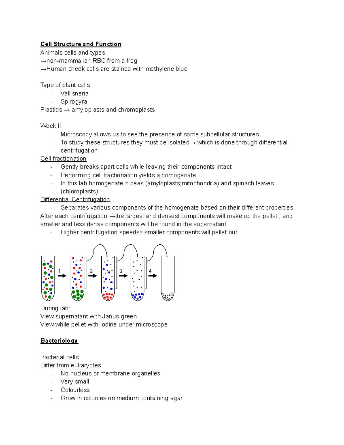Cell Structure and Function: Lecture Notes - Studocu