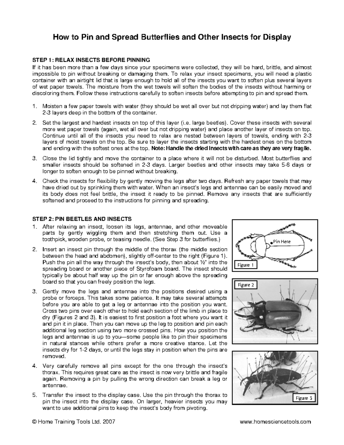 Insect Pinning for dry insects - © Home Training Tools Ltd. 2007 ...