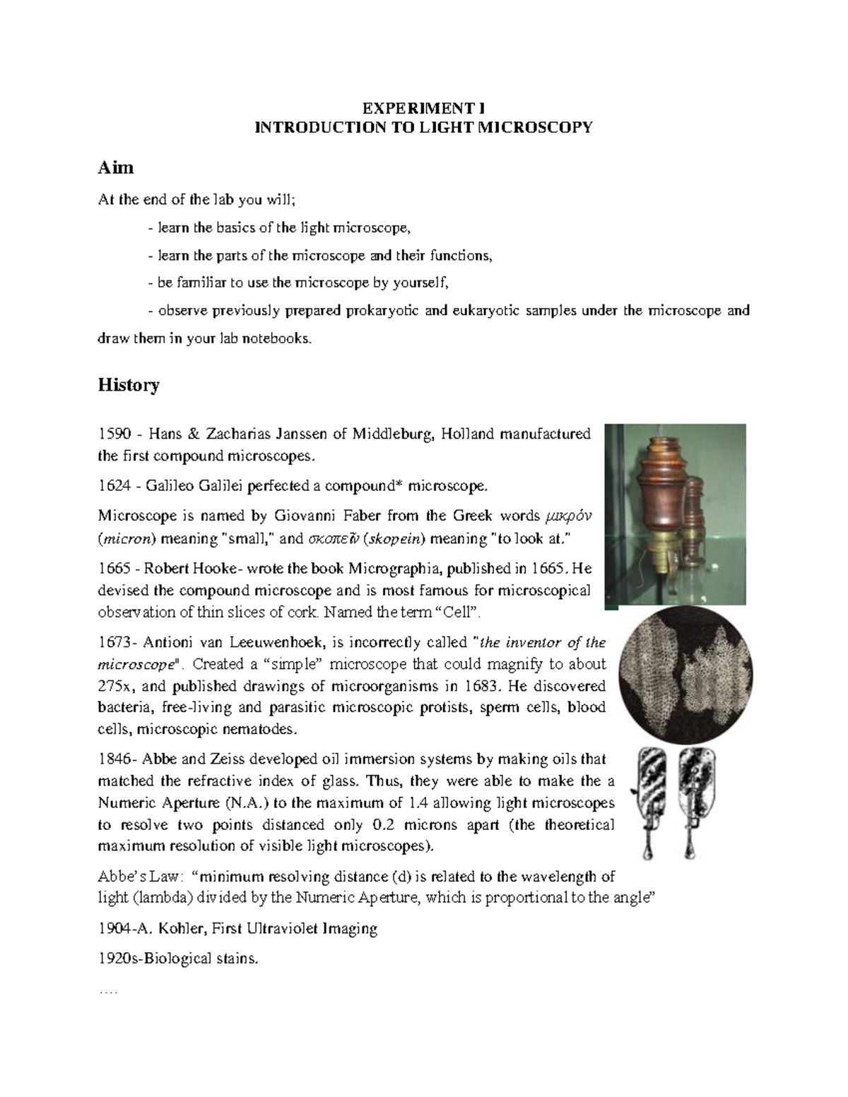 General Biology II Lab: Experiment I - Introduction to Light Microscopy ...