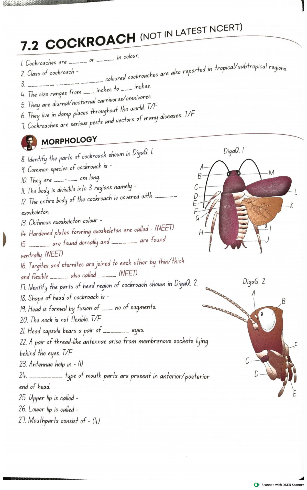 Cockroach Anatomy and Morphology Notes (NEET 2024) - Studocu