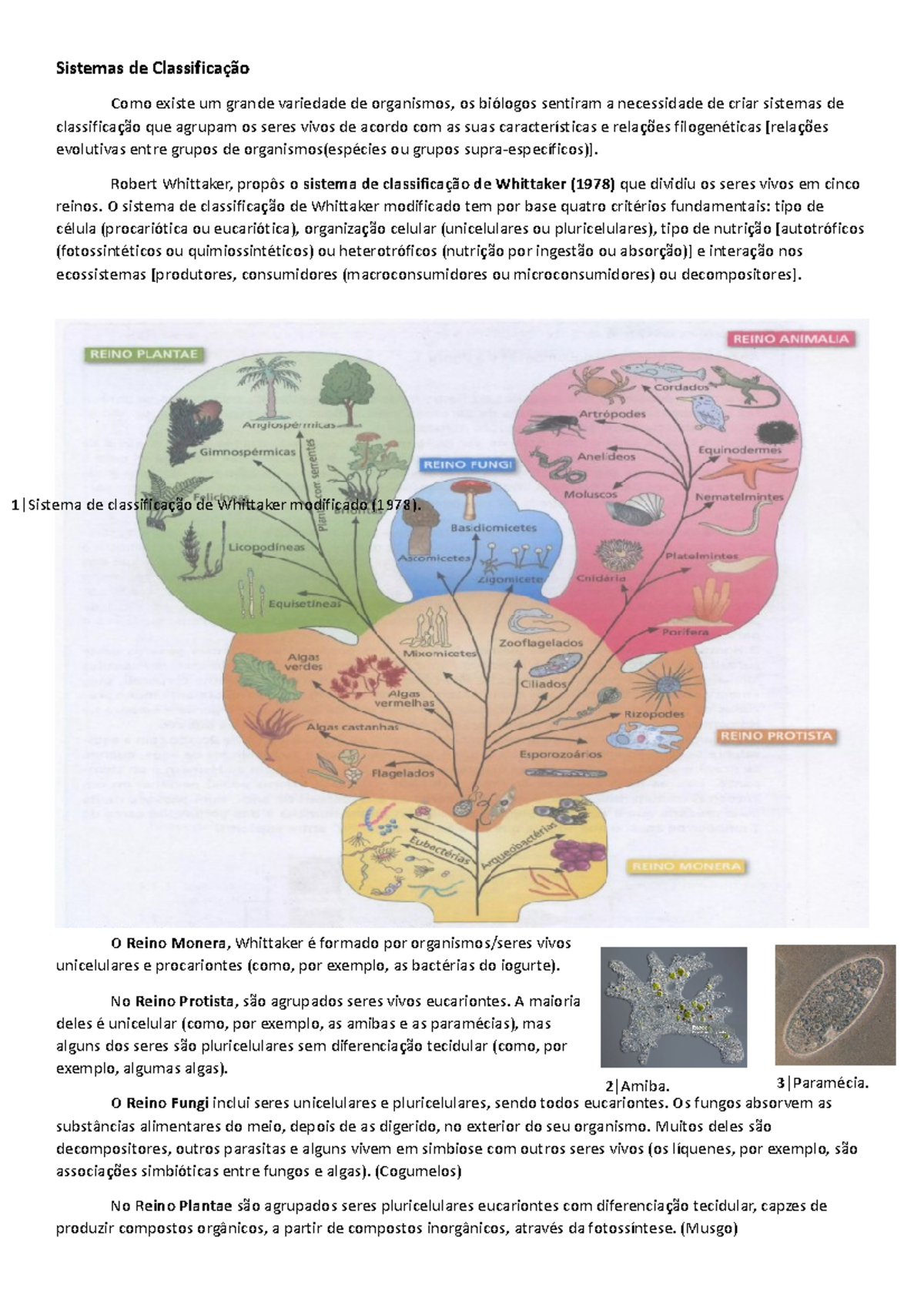 Sistemas de Classificação Biológica: Whittaker e Woese (1978/1990 ...