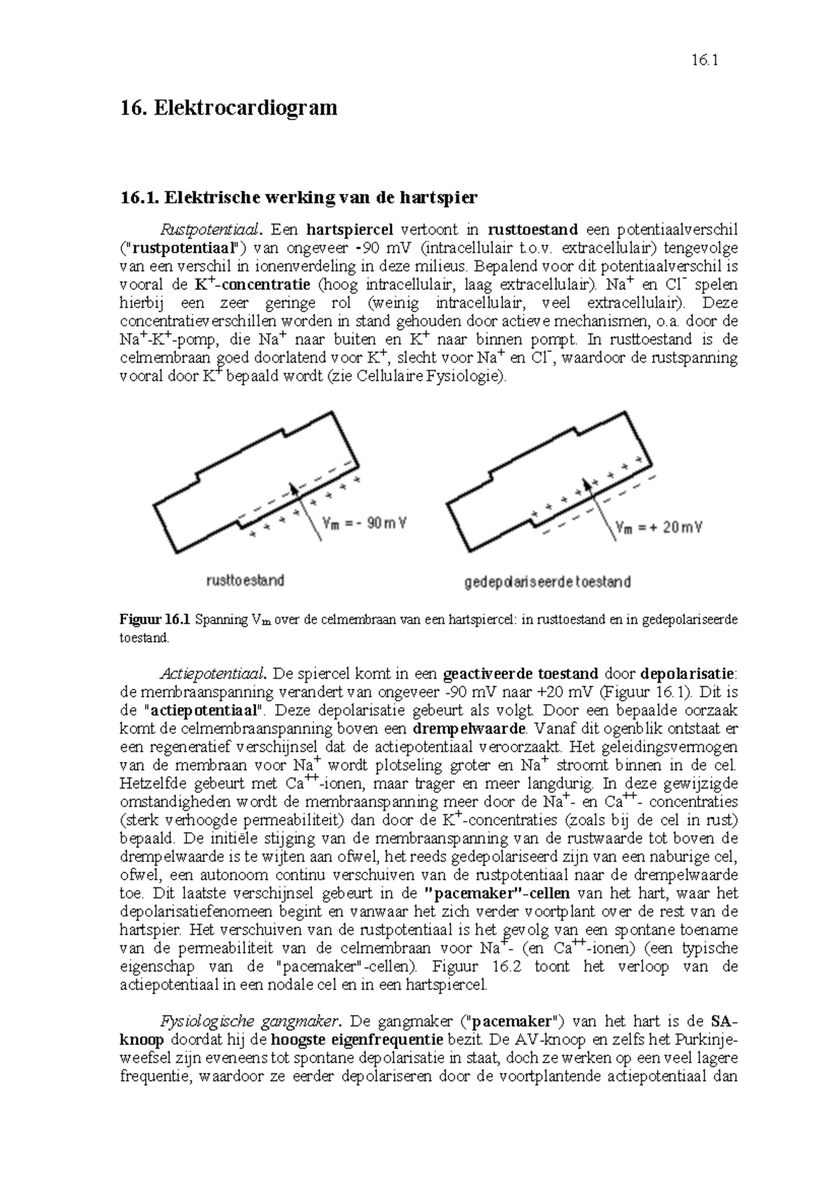 16.1 EKG en Hartfysiologie: Elektrische Activiteit van de Hartspier ...