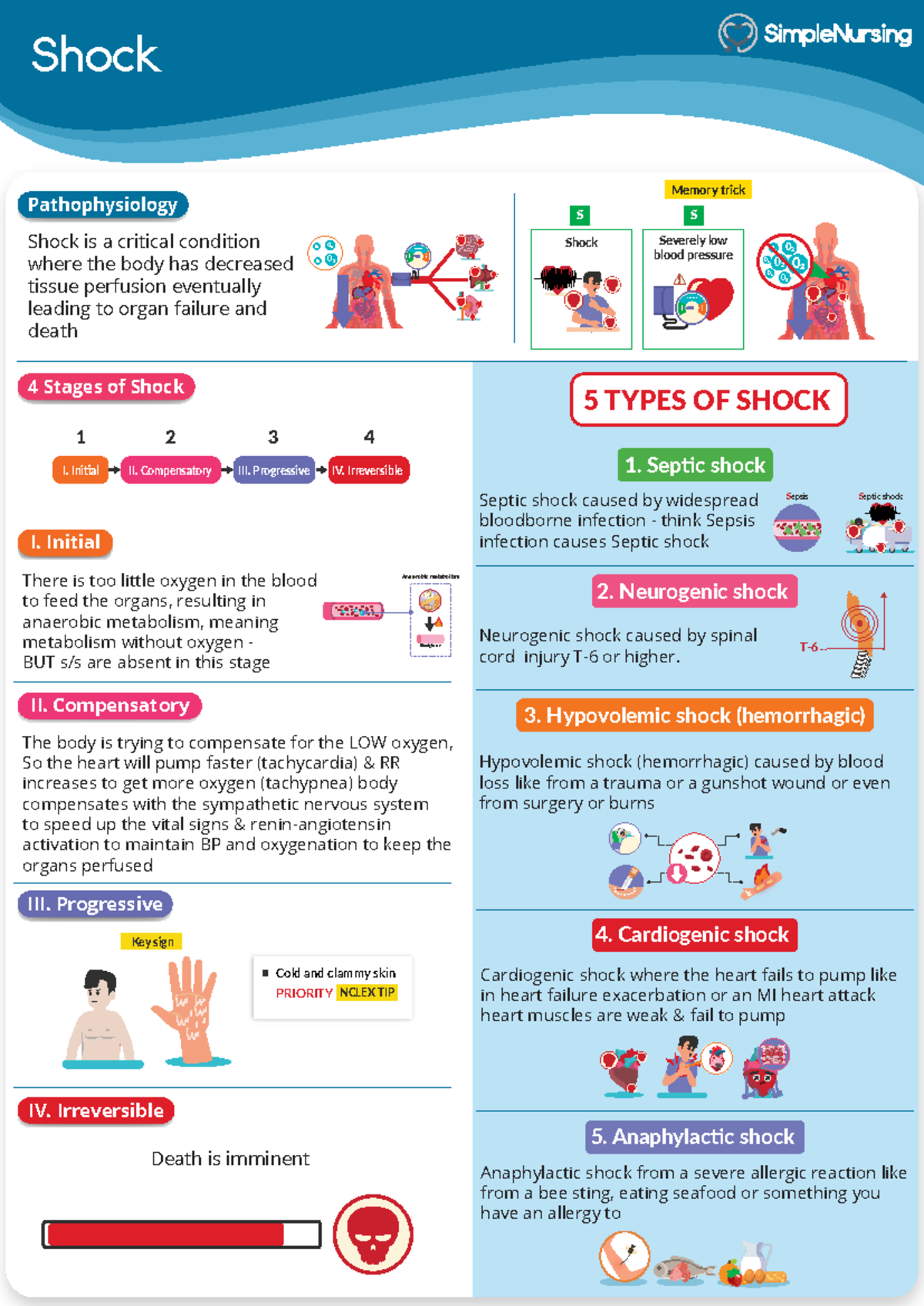 Pathophysiology of Shock: Types and Stages Explained - Studocu