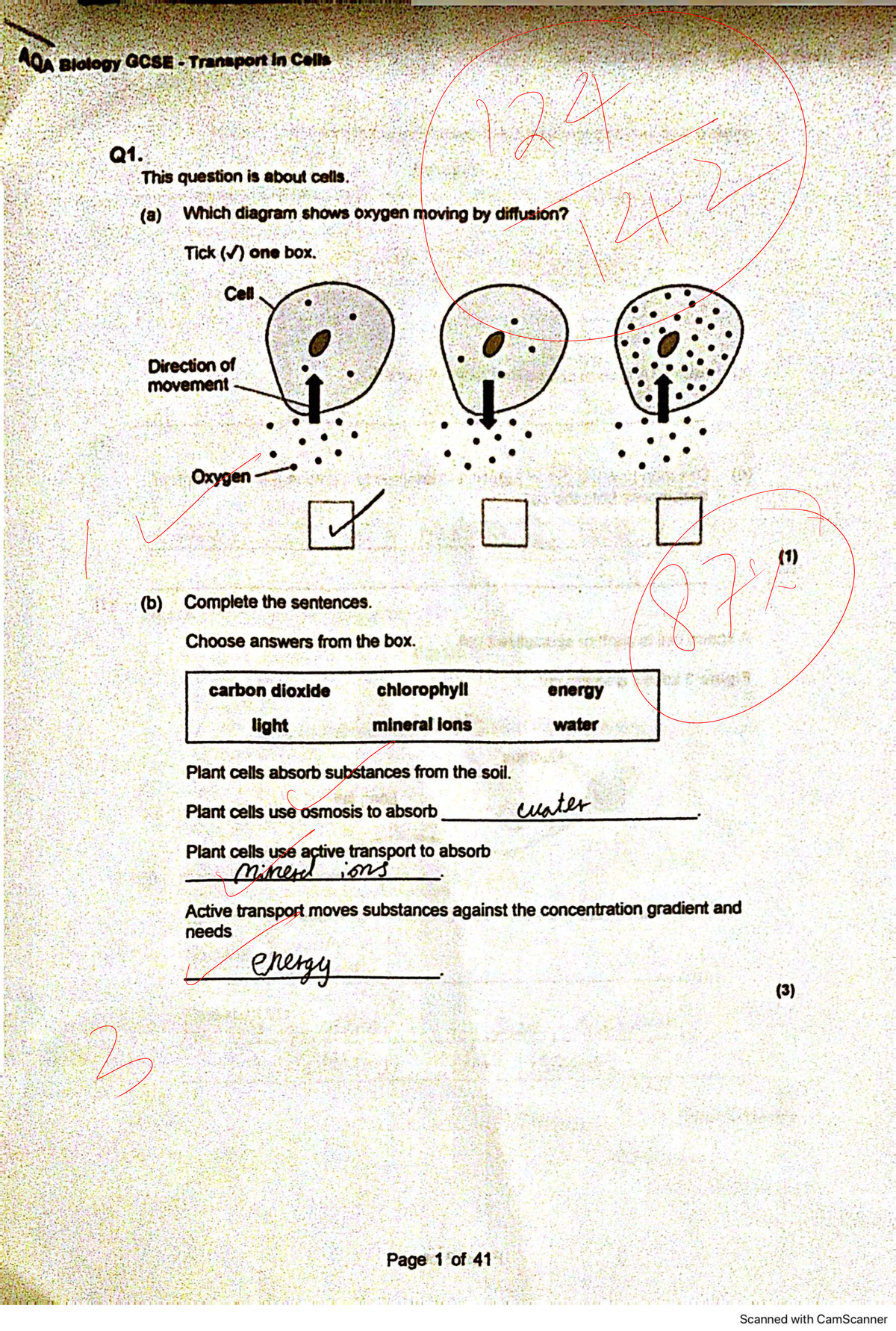 AQA Biology GCSE Transport in Cells: Key Concepts and Exam Questions ...