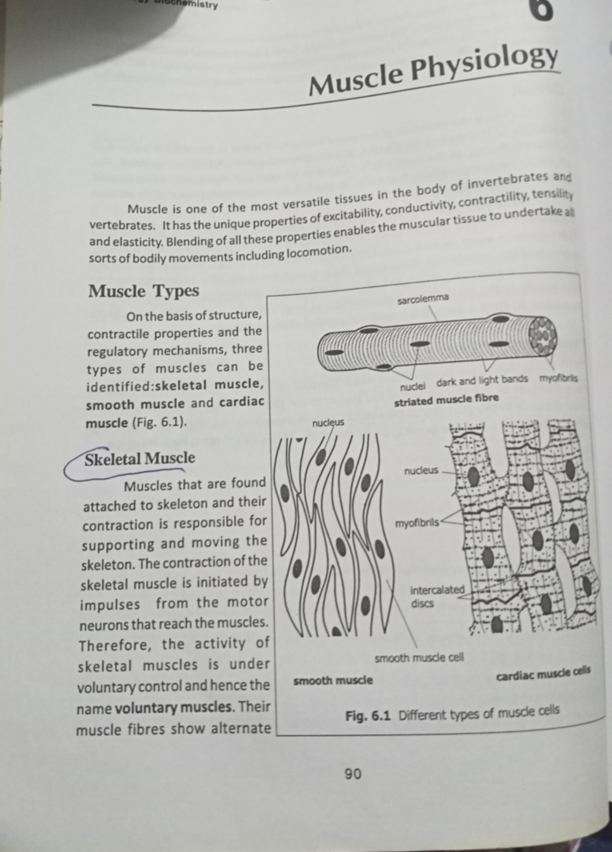 Muscle physiology 1-1 - Notes - Bsczoology - MG University - Studocu