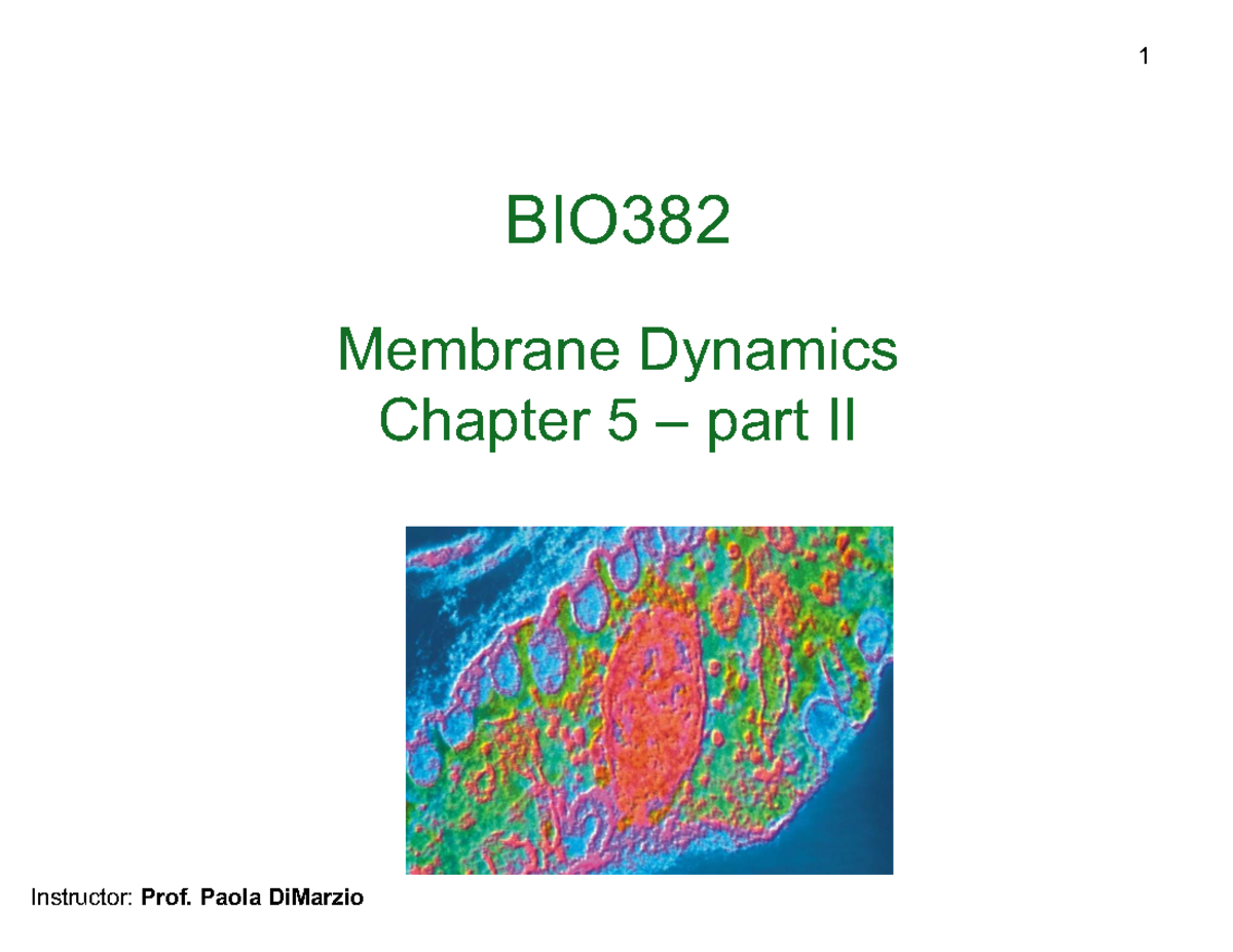 BIO382 Membrane Dynamics Lecture Notes Chapter 5 Part II - Studocu