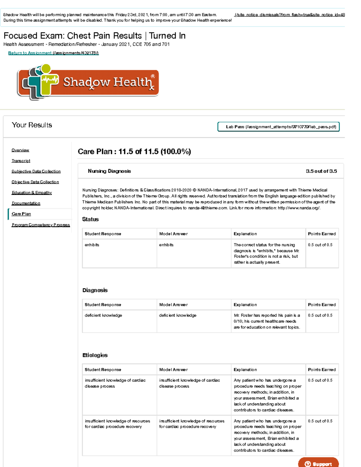 Focused Exam Chest Pain care plan - Focused Exam: Chest Pain