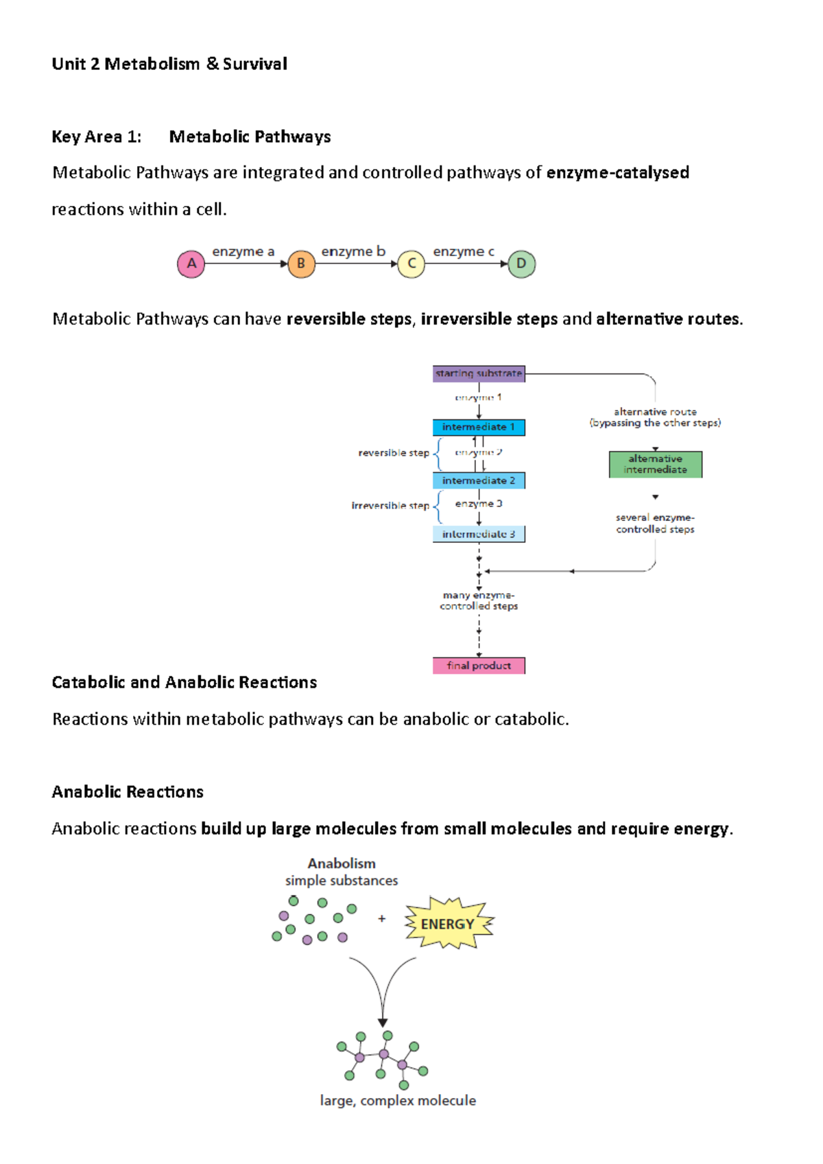 Unit 2: Metabolism & Survival - Key Area 1: Metabolic Pathways Overview ...