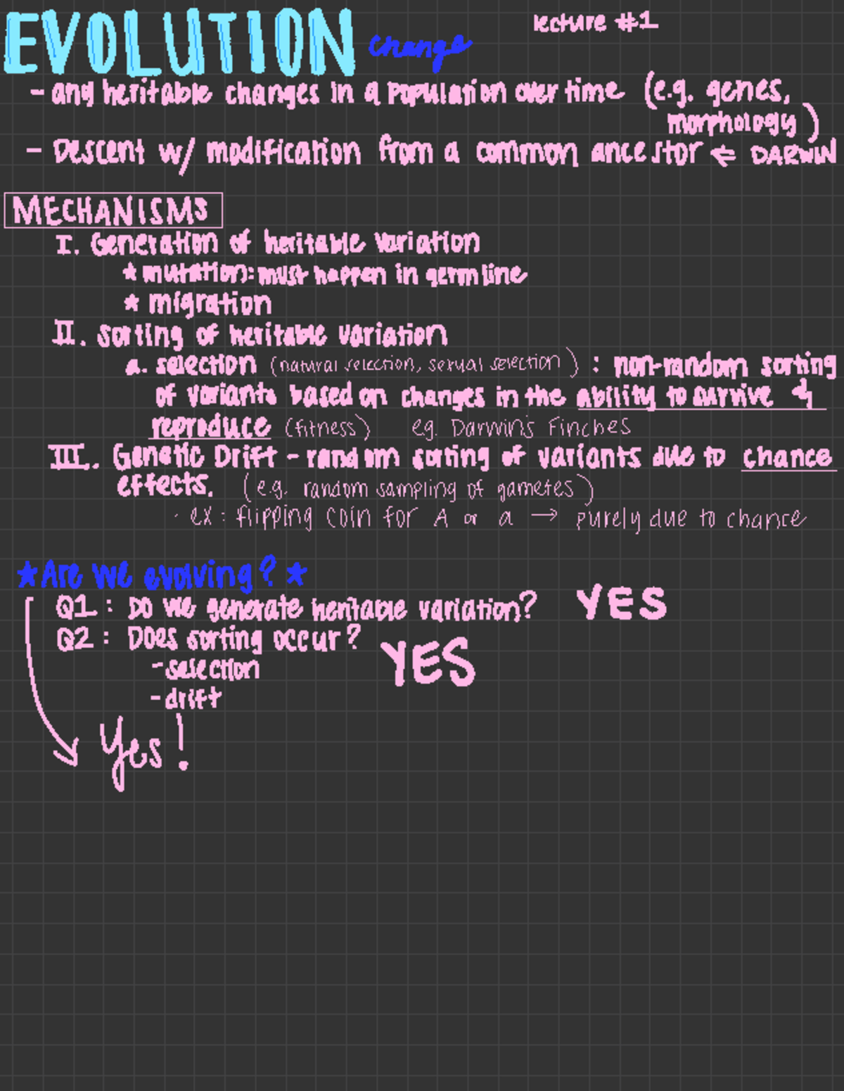 Evolutionary Biology Exam 1 Study Guide Notes - HE#g UHHH orange ...