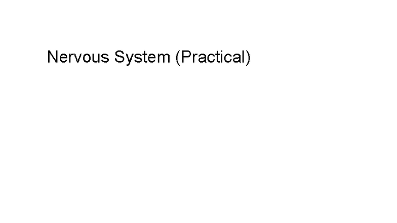 2025 Nervous System Practical Study Guide & Review Questions - Studocu