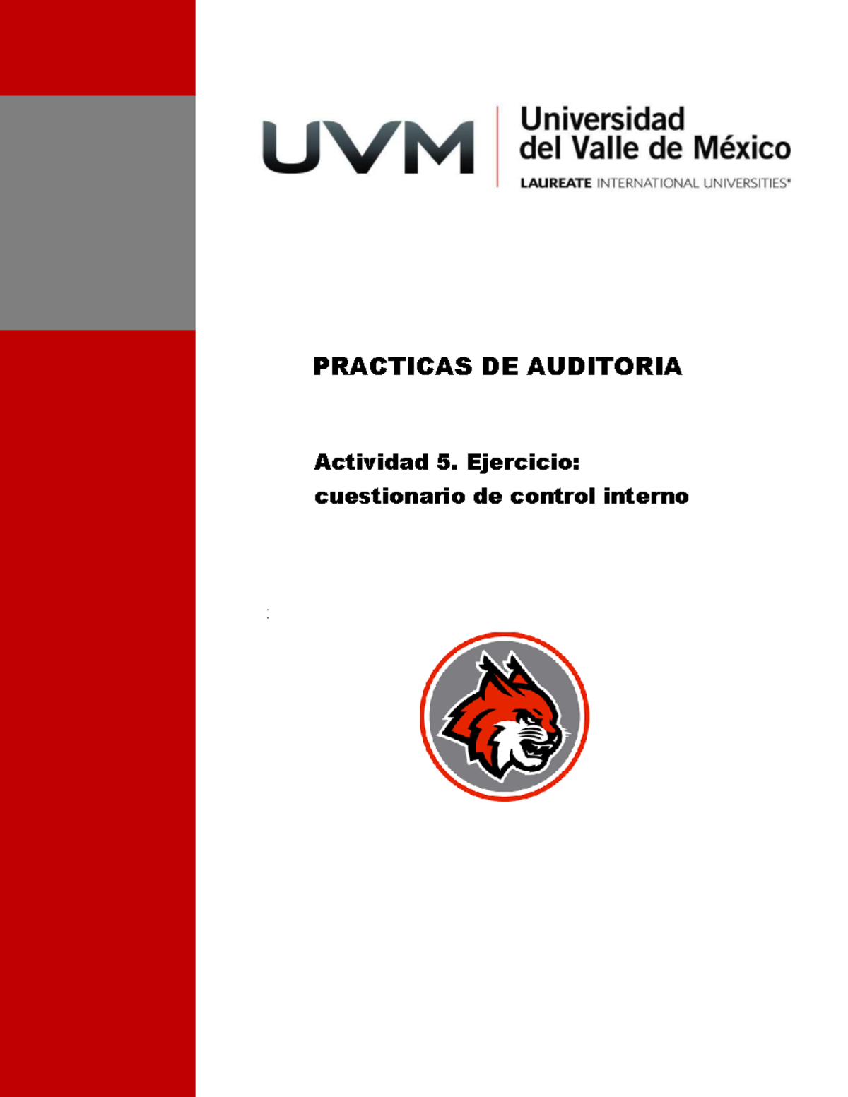 PRACTICAS DE AUDITORIA: Cuestionario de Control Interno - Actividad 5 ...