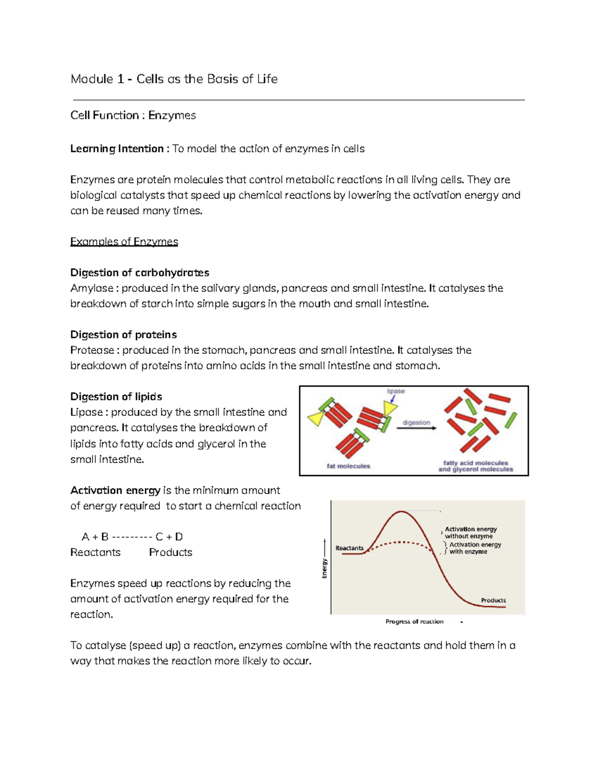 Class Notes - Module 1 - Cells as the Basis of Life - Module 1 - Cells ...