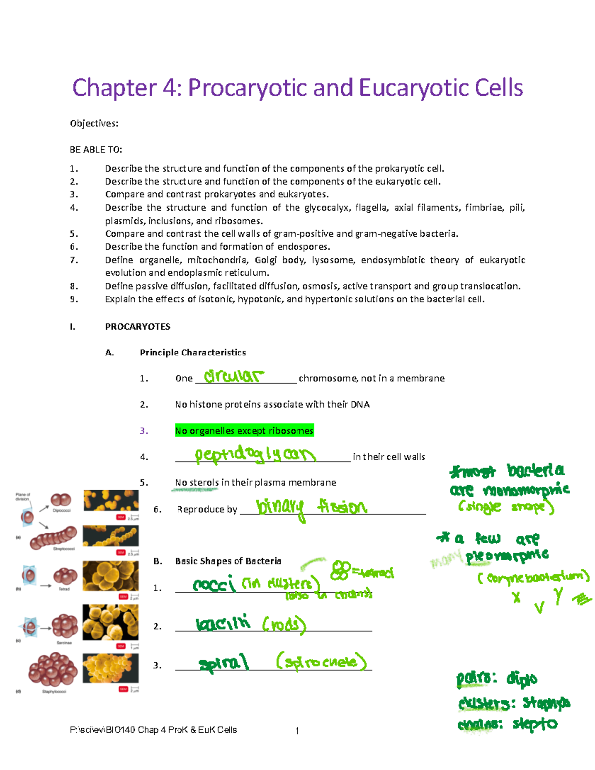 BIO140 Chapter 4: Prokaryotic vs Eukaryotic Cell Structure & Functions ...