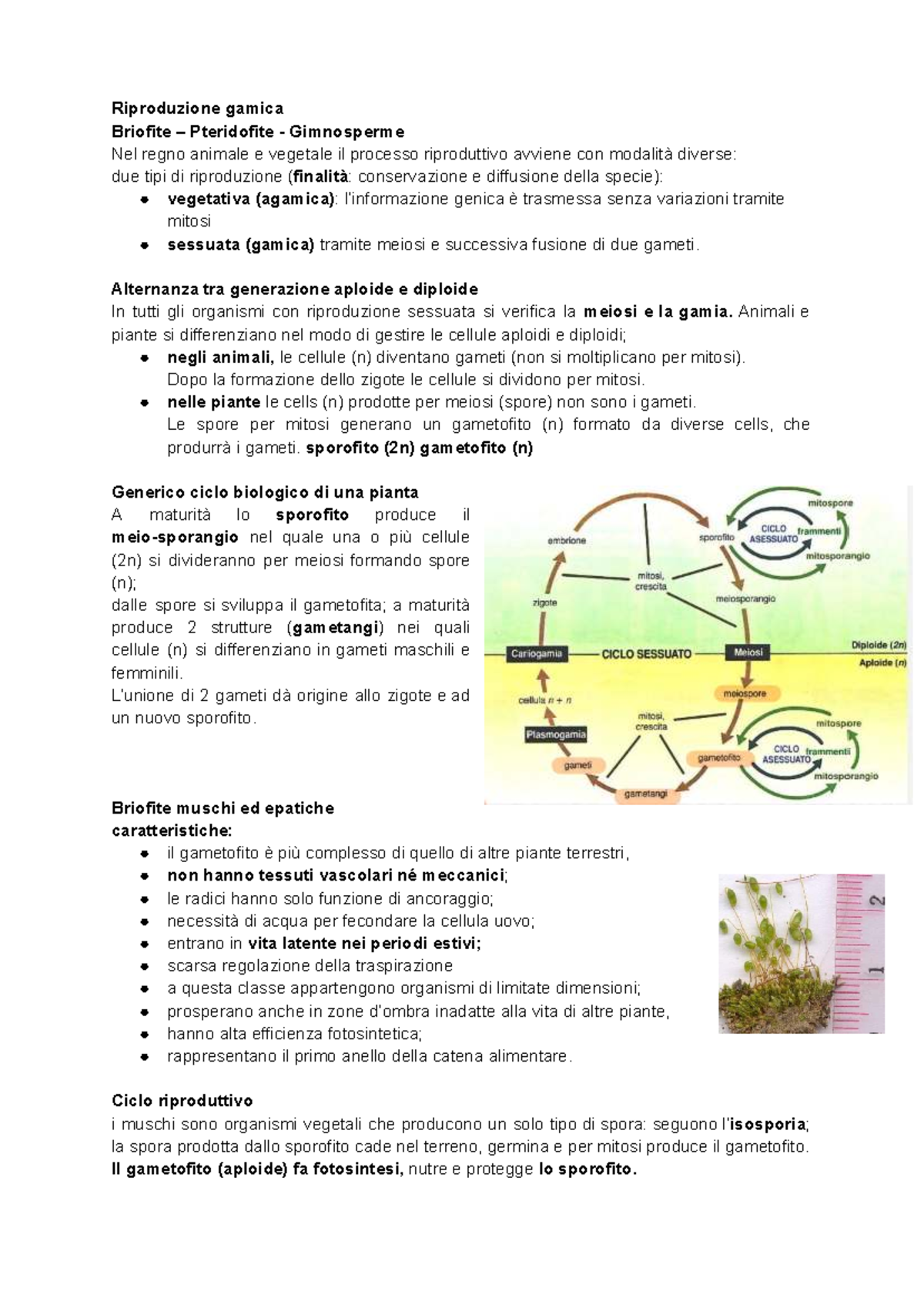 Riproduzione Gamica e Cicli Biologici di Briofite, Pteridofite e ...