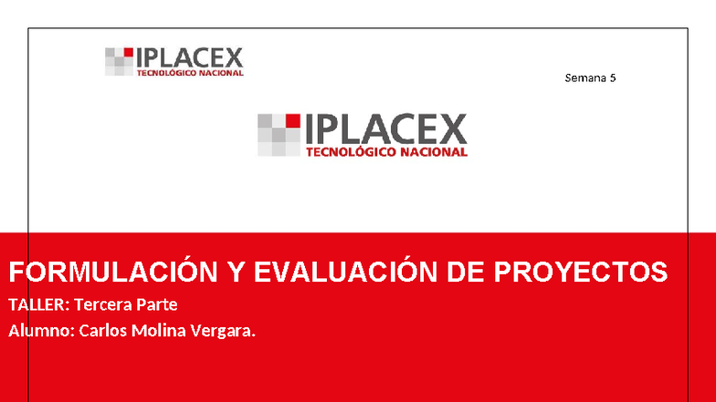 Taller III: Formulación y Evaluación de Proyectos – Carlos Molina - Document Preview