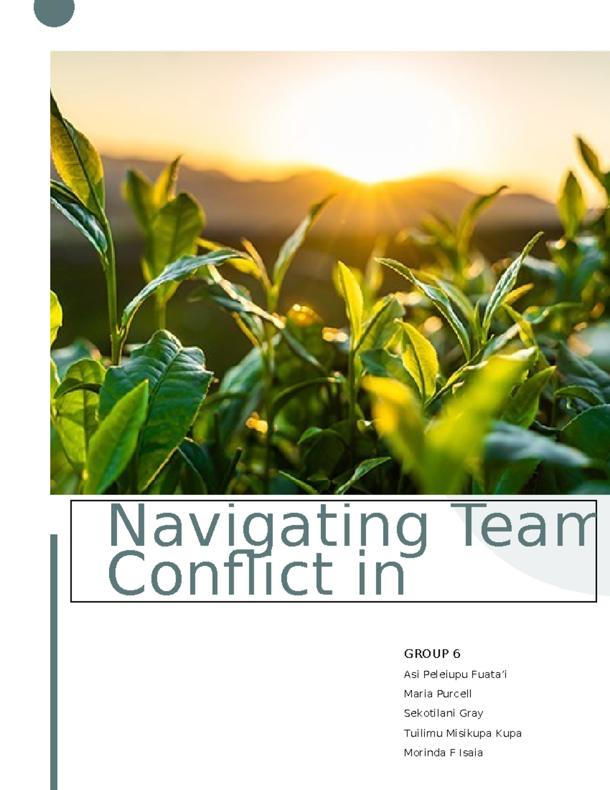 Group 6 final write-up on navigating team conflict in Samoa Organics ...