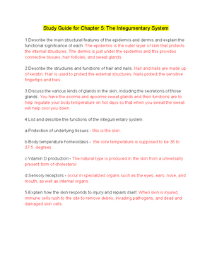 Study Guide for Chapter 1 An Introduction to Anatomy and Physiology ...