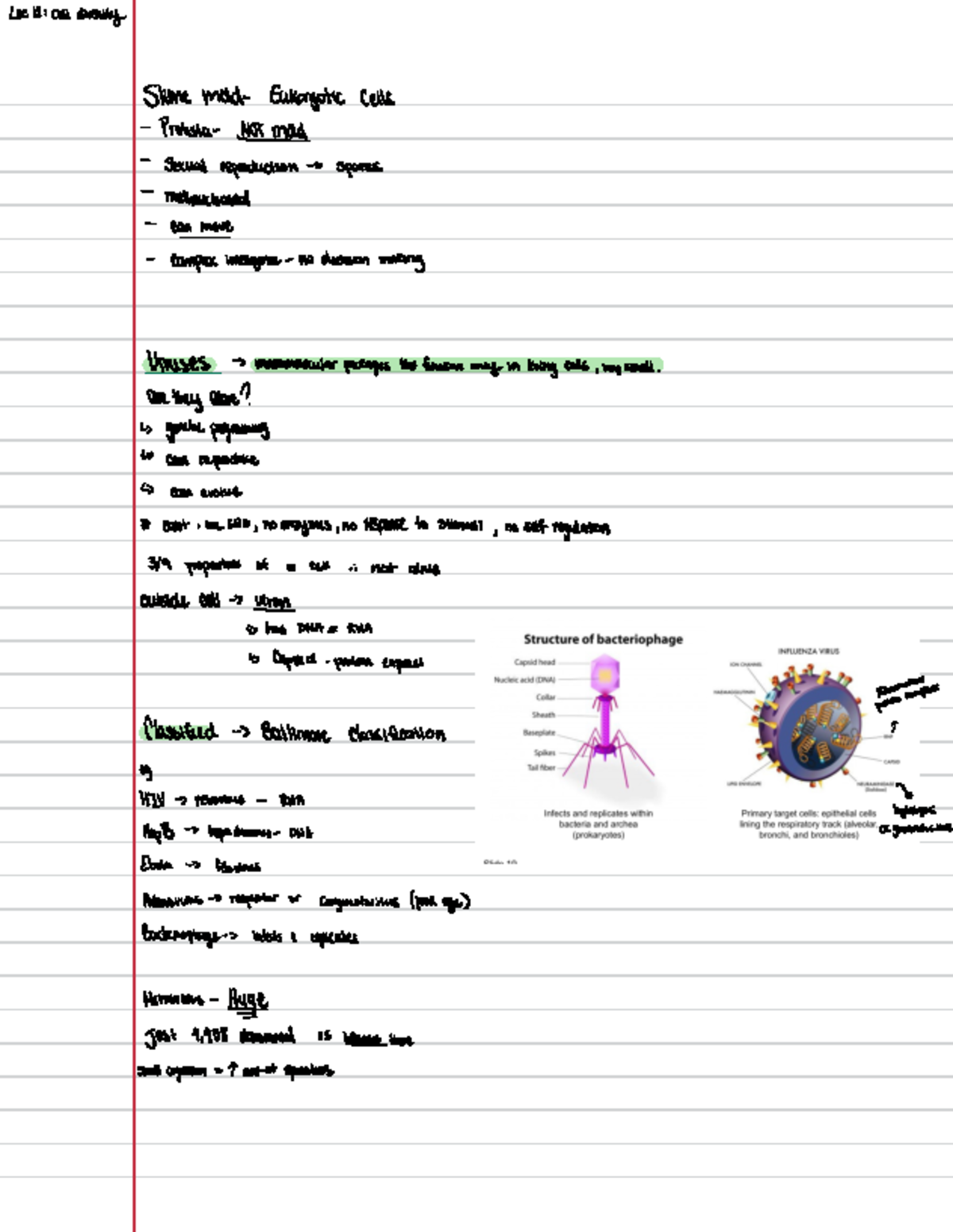 BIO 1090- Lec 12 notes - Lec 12 : cell diversity Slime mold ...