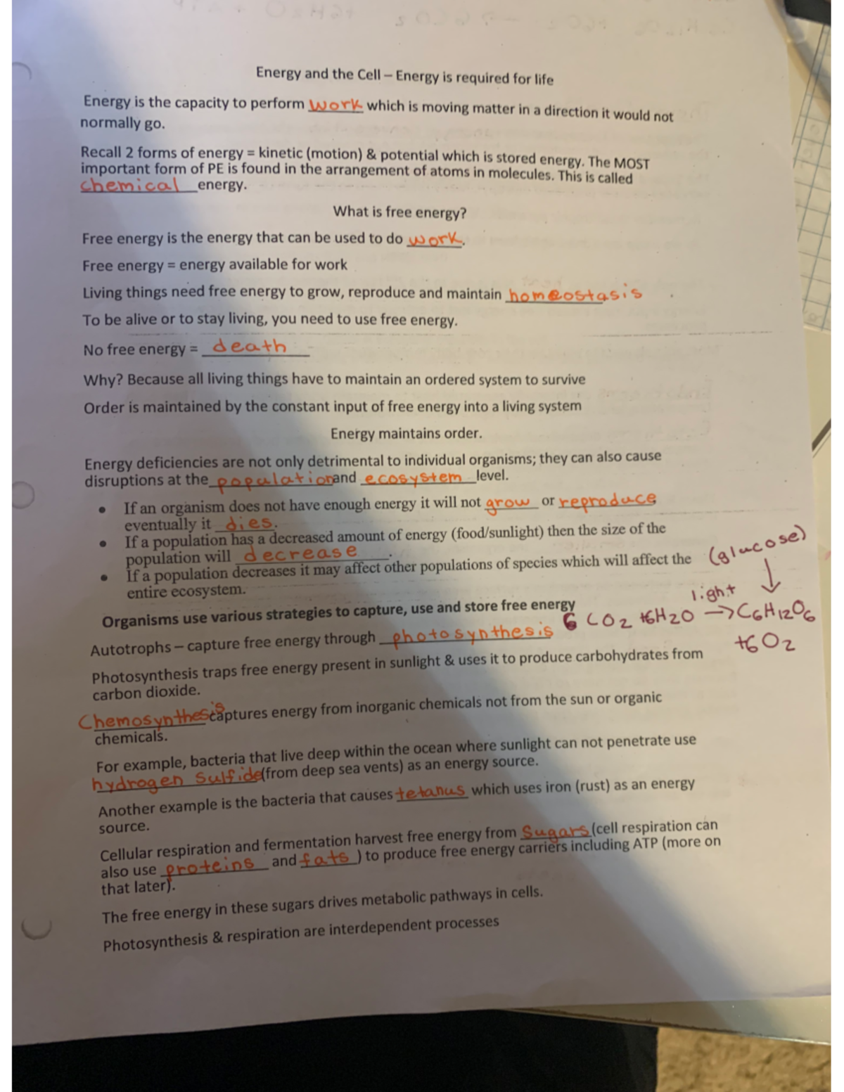 Final Exam Review Notes for Biology Course XYZ 2023: Energy in Cells ...