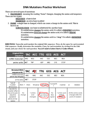Genetics Practice Problems - Easy Mode - Name ...