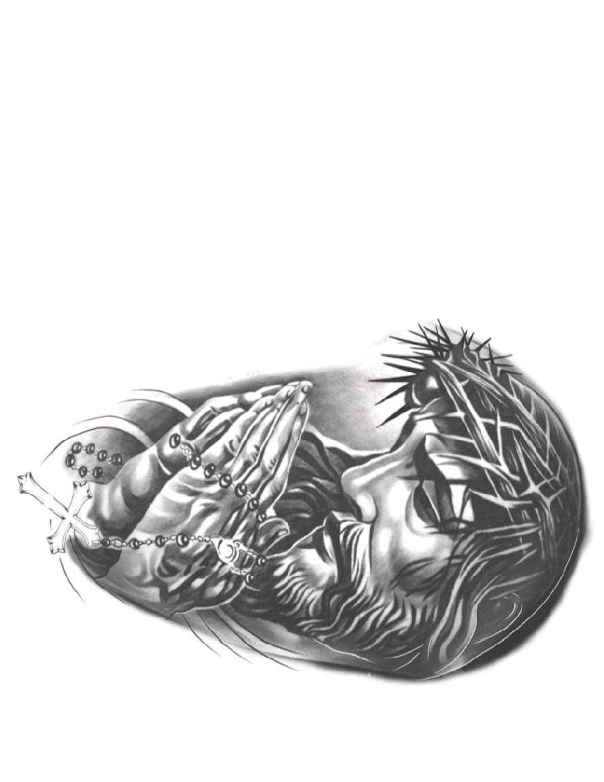 Noli - drawing - Batchelor in Secondary Education - SEAL o S 0800. OOOO ...