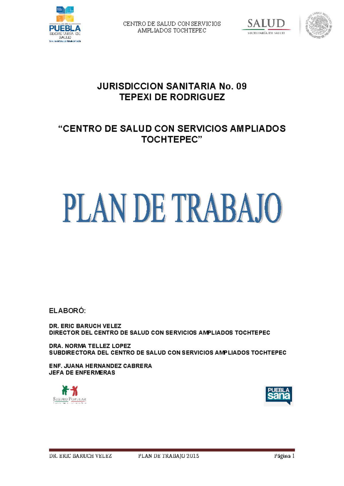 Plan de Trabajo para el Centro de Salud Ampliados Tochtepec 2015 - Document Preview