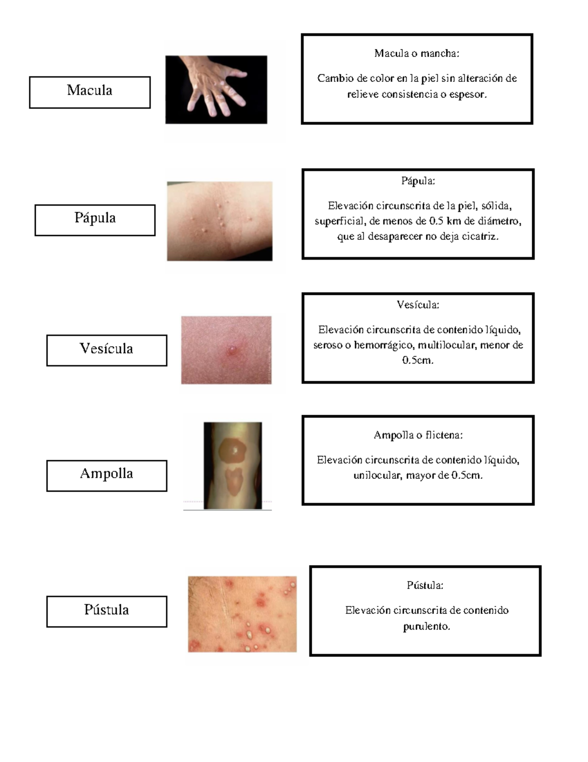 Lab de Dermatología: Clasificación de Lesiones Cutáneas - Studocu