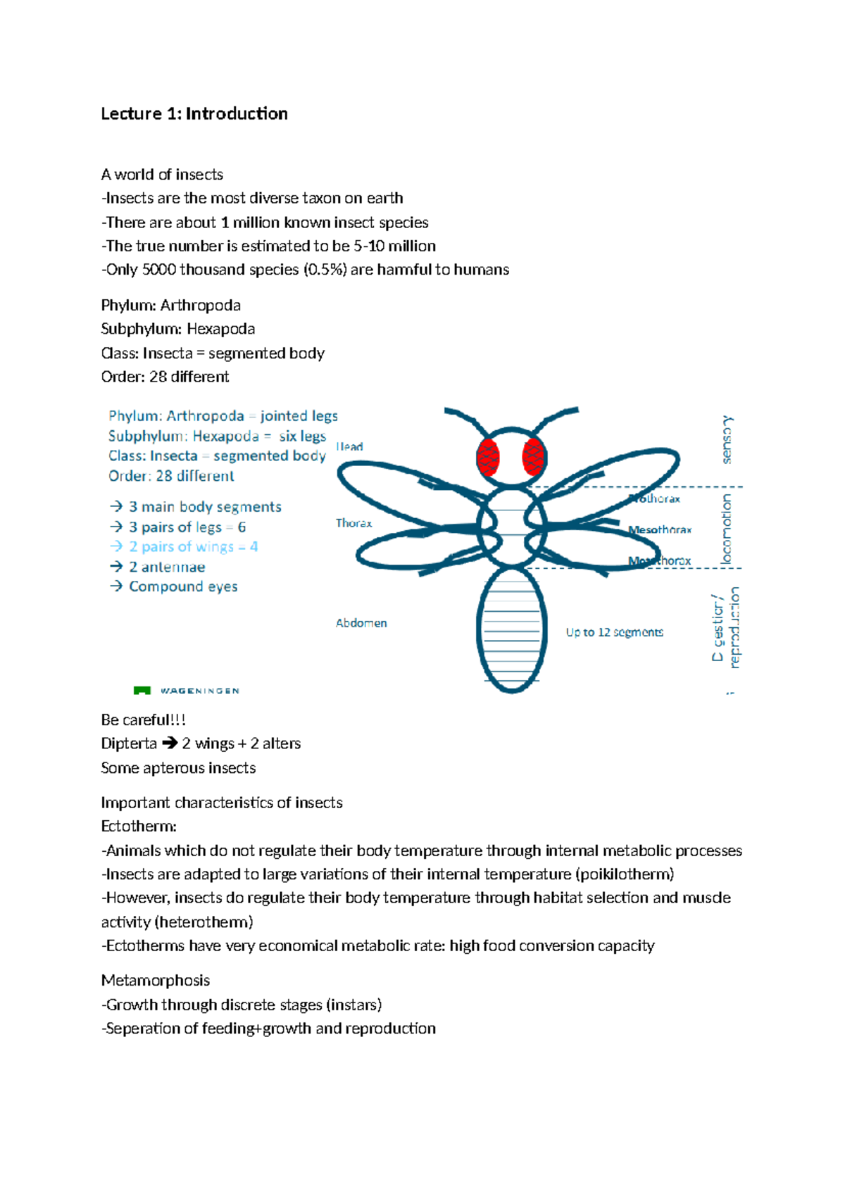Lectures on Insects as Food and Feed: An Overview of Key Concepts ...