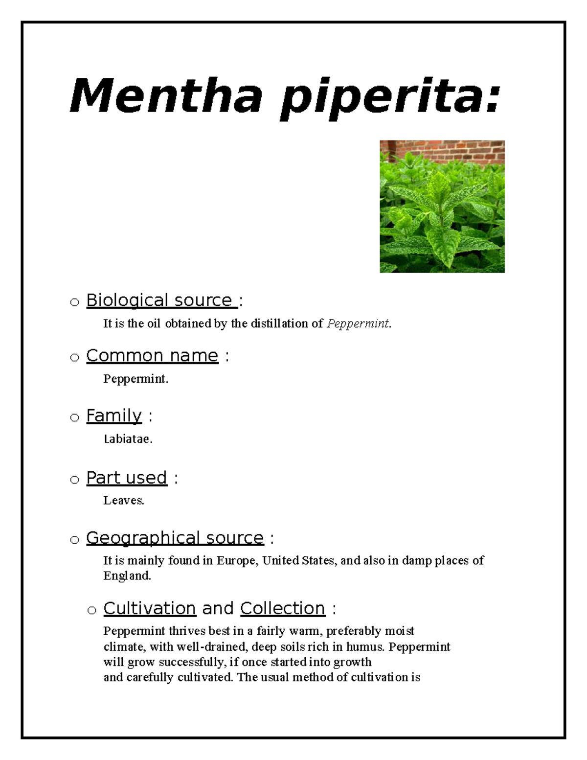 pharmacognosy of tobacco Pharmacognosy Study: Mentha Piperita & Balsam of Tolu Insights