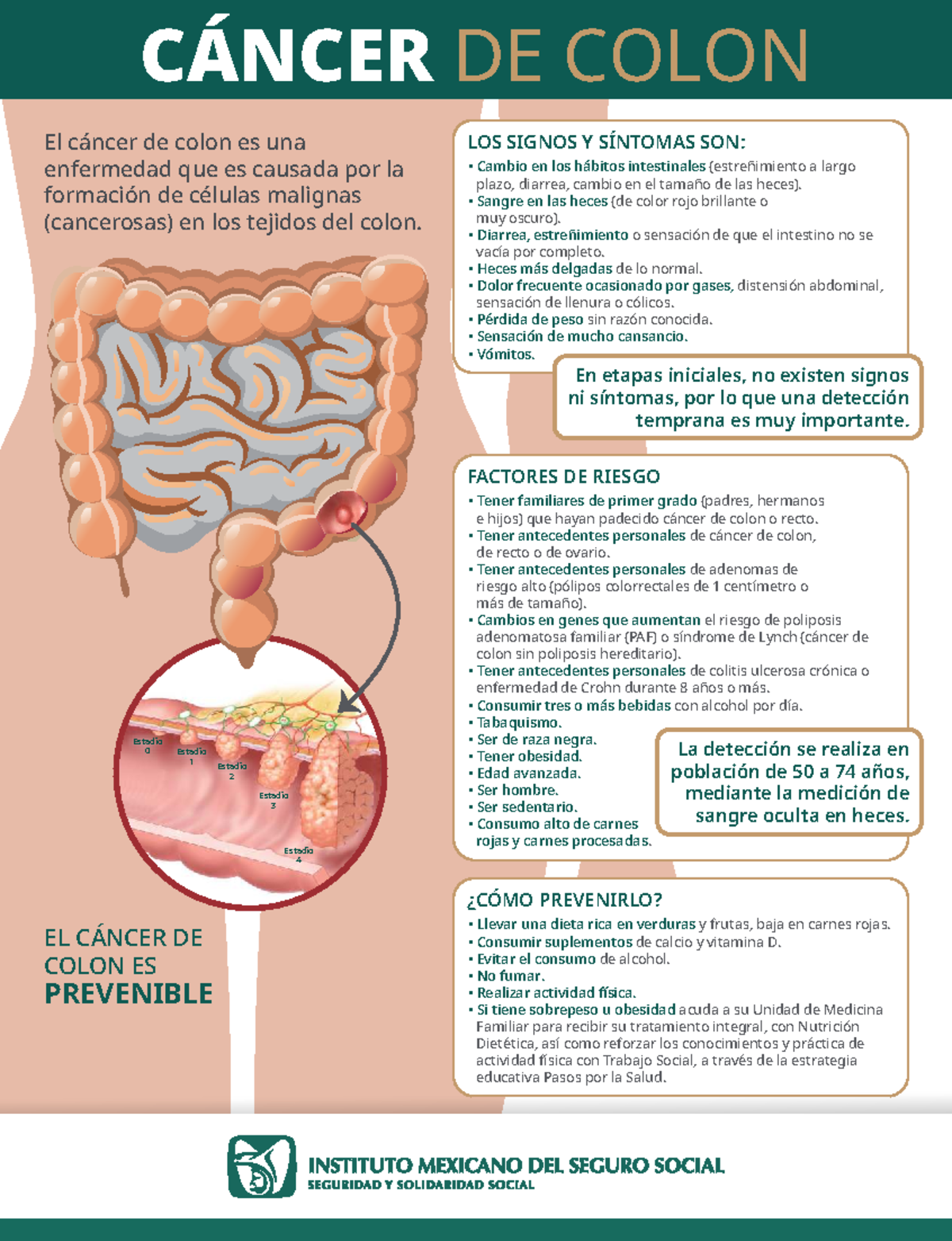 CÁNCER DE COLON: Signos, Síntomas y Prevención Efectiva - Studocu
