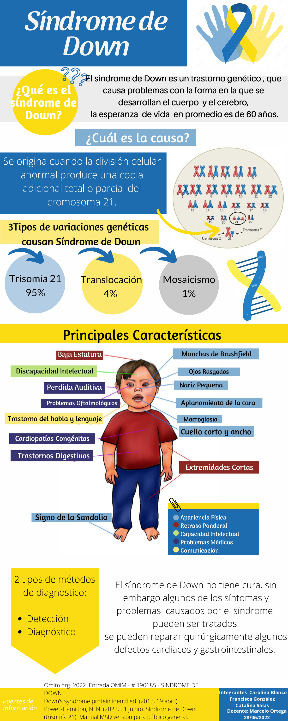Sindrome De Down Pruebas Recomendadas – AGAY