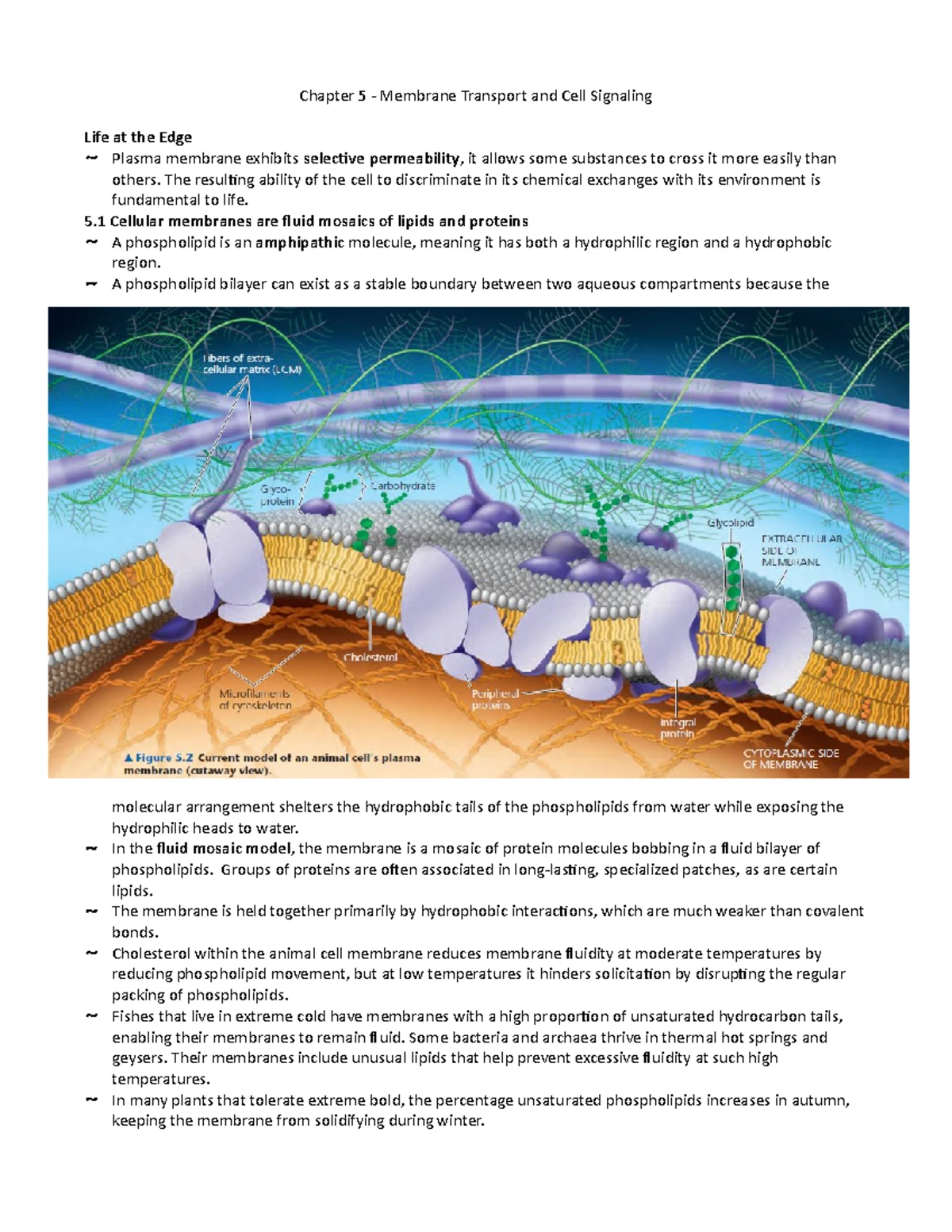5.6 The Plasma Membrane Plays a Key Role in Most Cell Signaling - Local ...