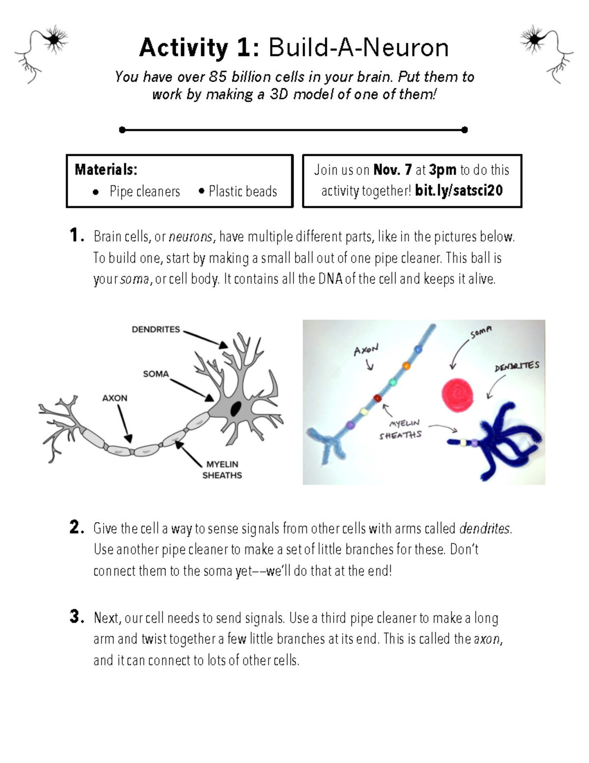 Build-A-Neuron Activity Guide: Create a 3D Brain Cell Model - Studocu
