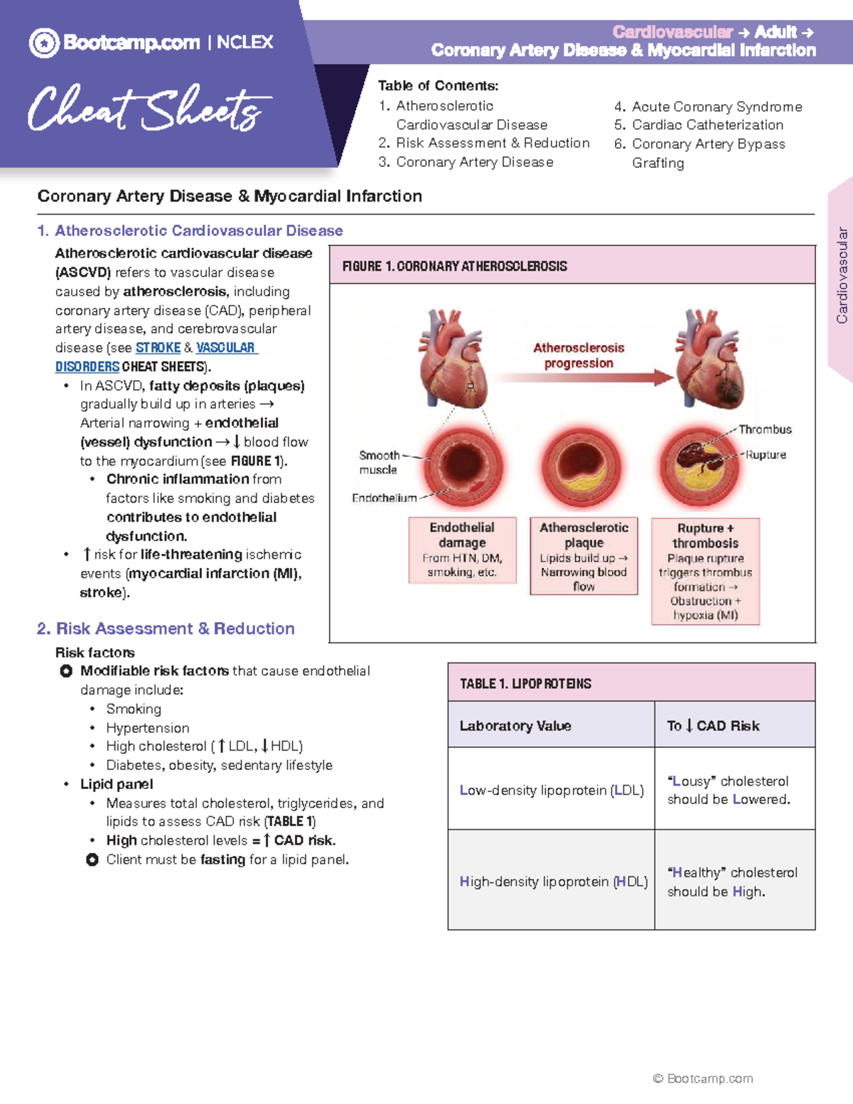 Coronary Artery Disease & Myocardial Infarction Cheat Sheet (CAD & MI ...