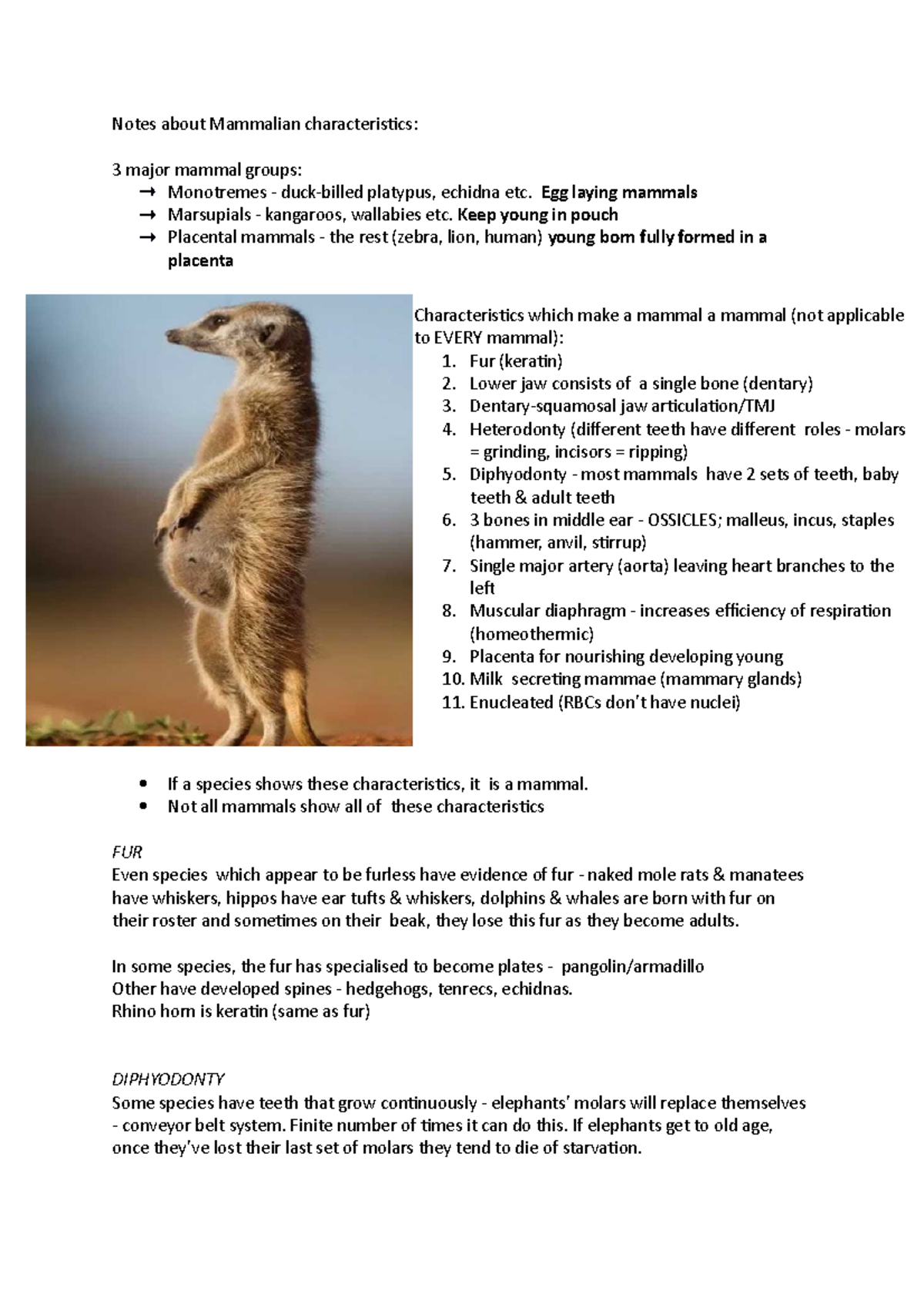 Mammalian Characteristics: Key Features of Monotremes, Marsupials ...