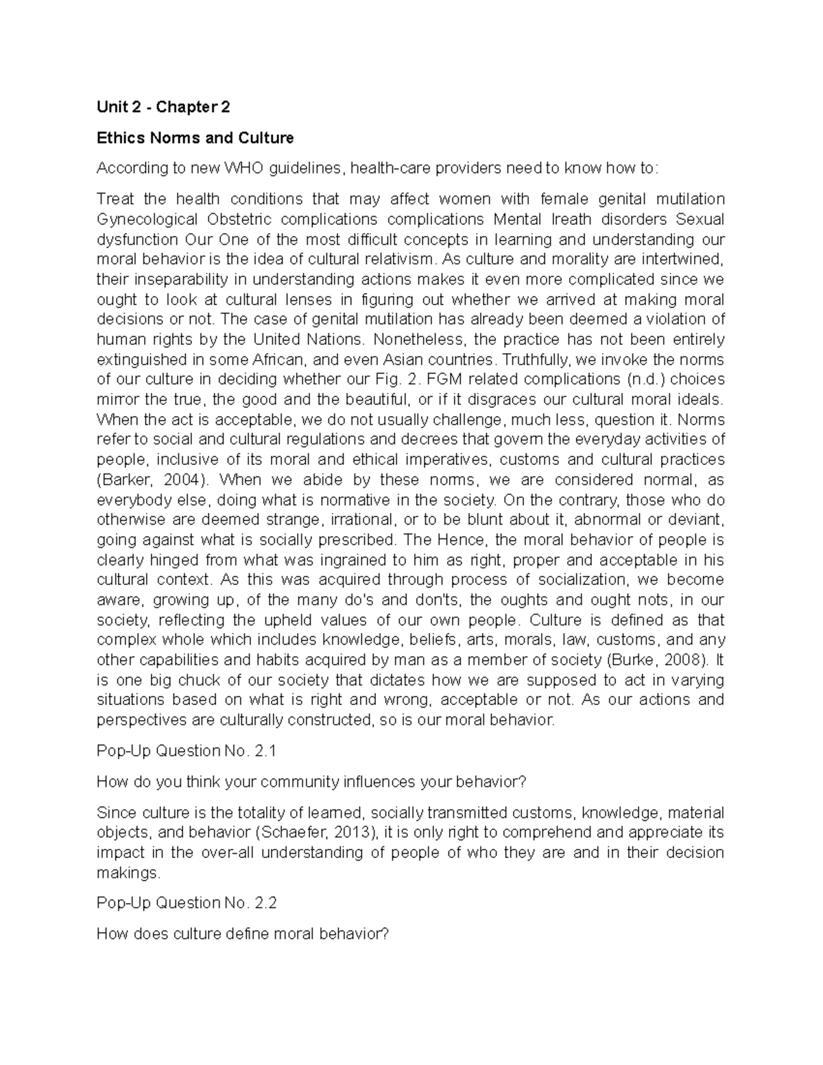 Ethics Norms and Culture - Unit 2 - Chapter 2 Ethics Norms and Culture ...