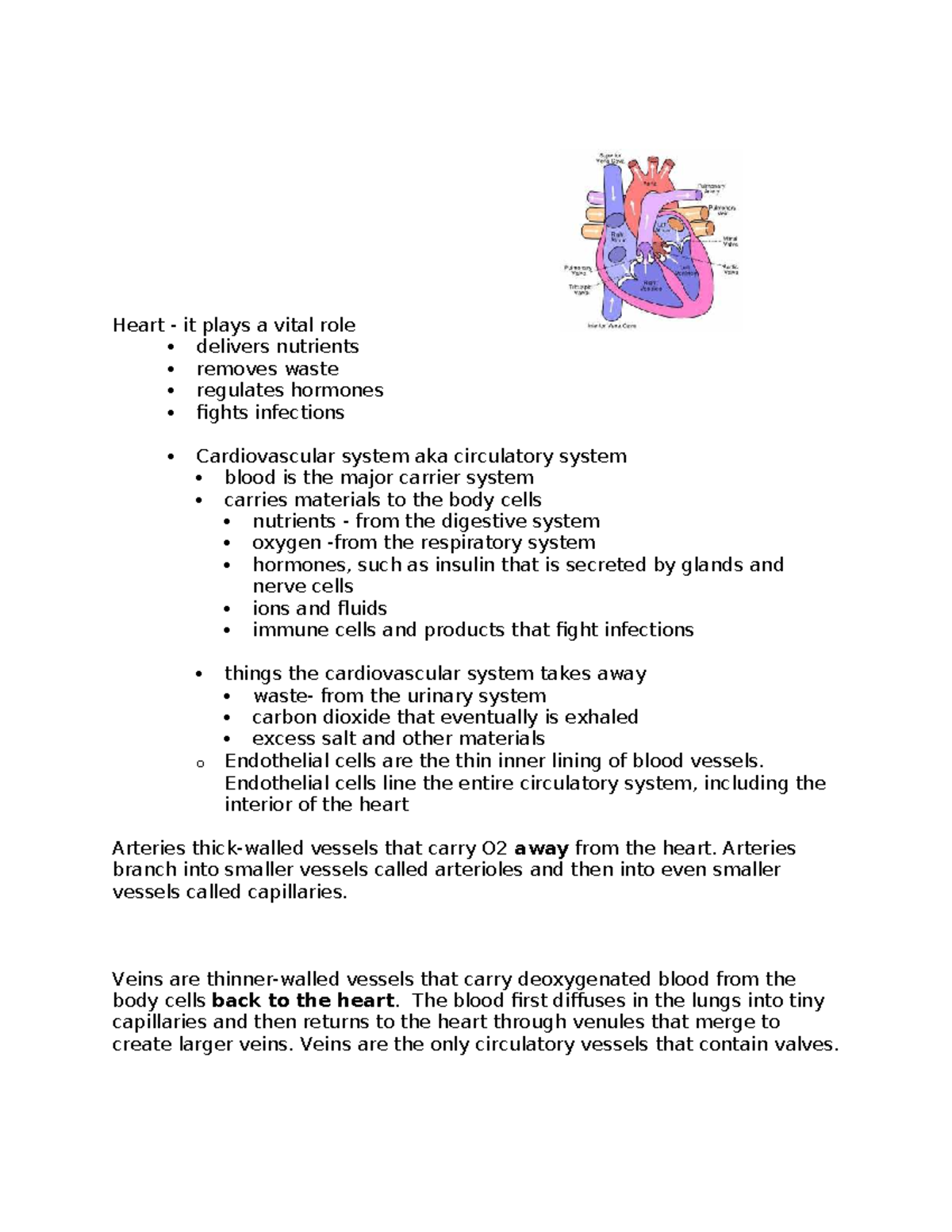Heart Anatomy & Function: Sinoatrial Node & ECG Overview (BIO 101 ...