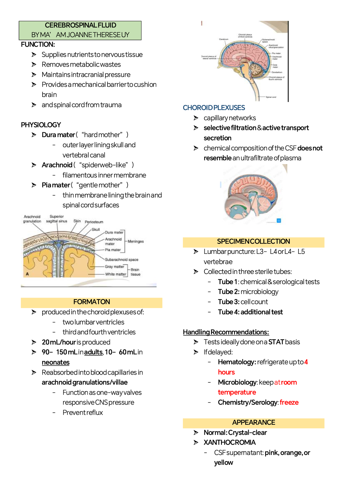 CEREBROSPINAL FLUID FUNCTION AND ANALYSIS - AMJOANNETHERESEUY - Studocu