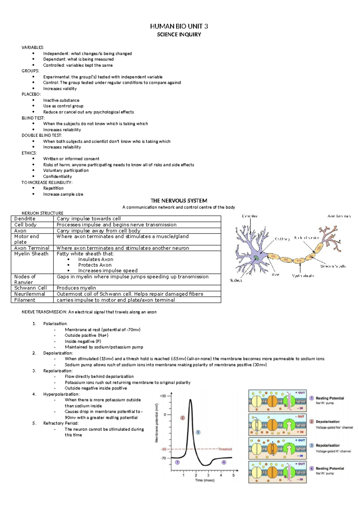 Human bio 2018 notes: Unit 3 science inquiry and nervous system ...