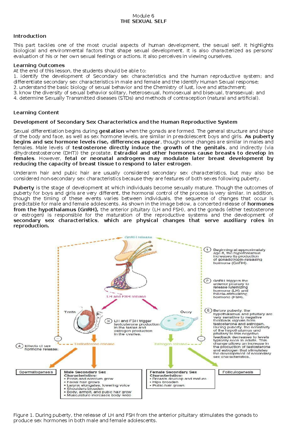6 The Sexual Self - Lecture/Discussion notes - Module 6 THE SEXUAL SELF ...