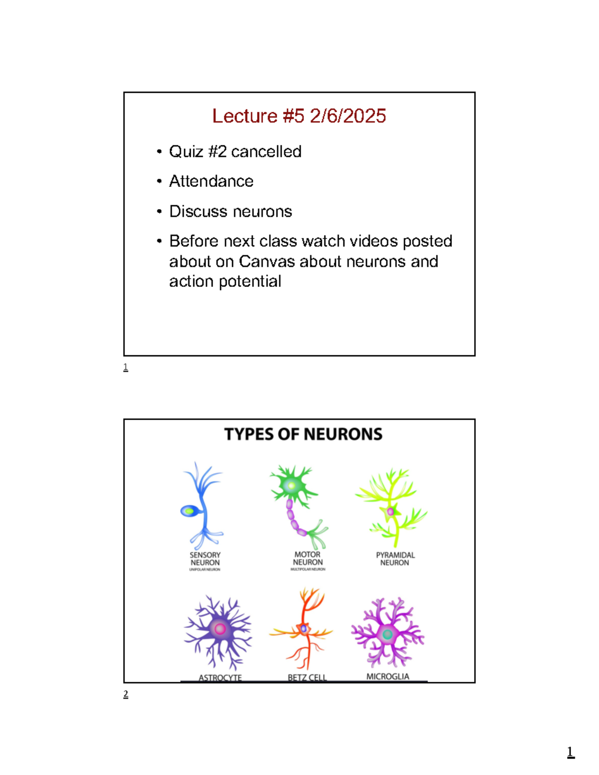 Glial Cells and Neuronal Function - Lecture 5 (Neuroscience 101 ...