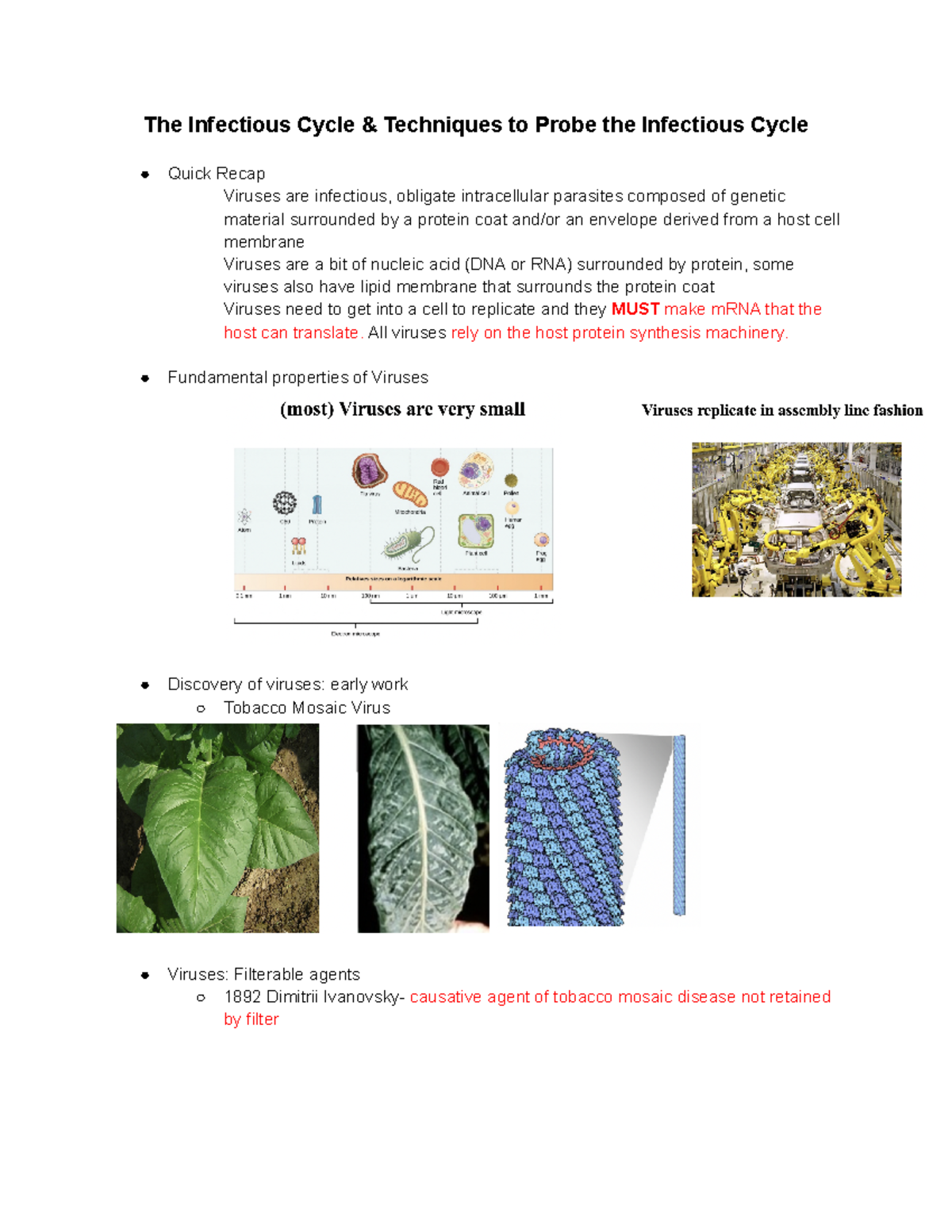 Lecture 1: Understanding the Infectious Cycle and Its Key Elements ...