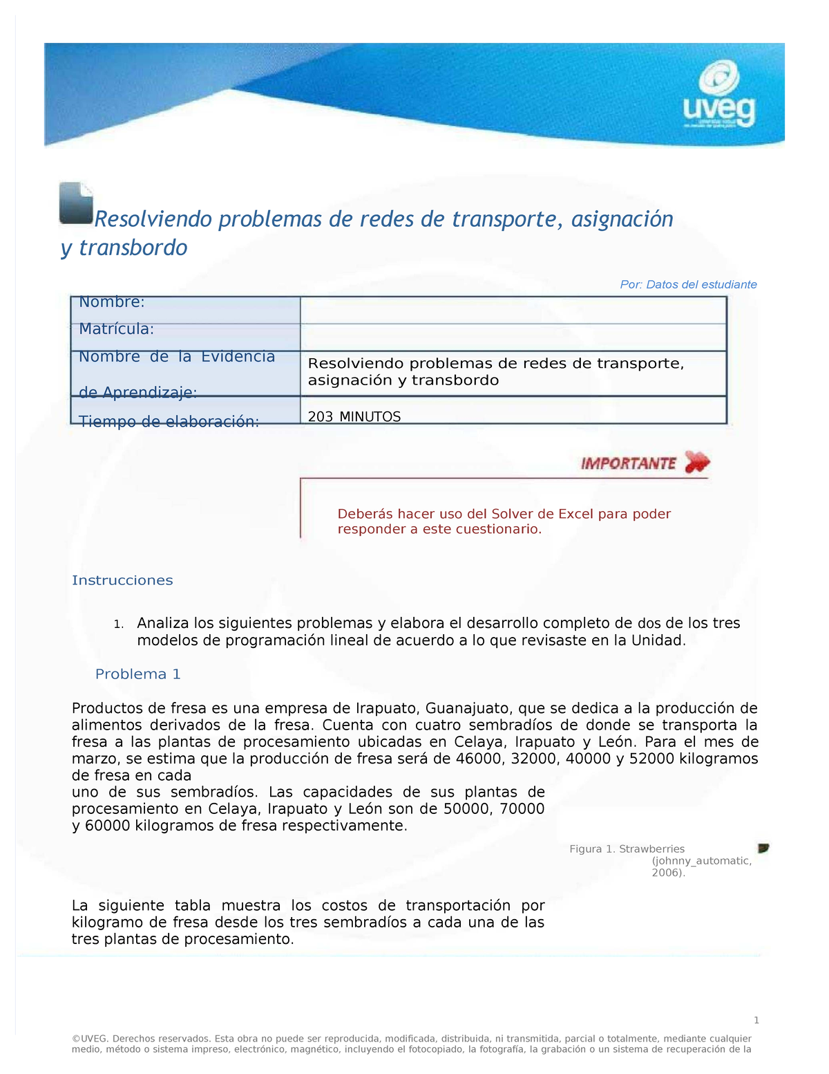 Resolviendo Problemas de Redes de Transporte y Asignación - PL 203 ...