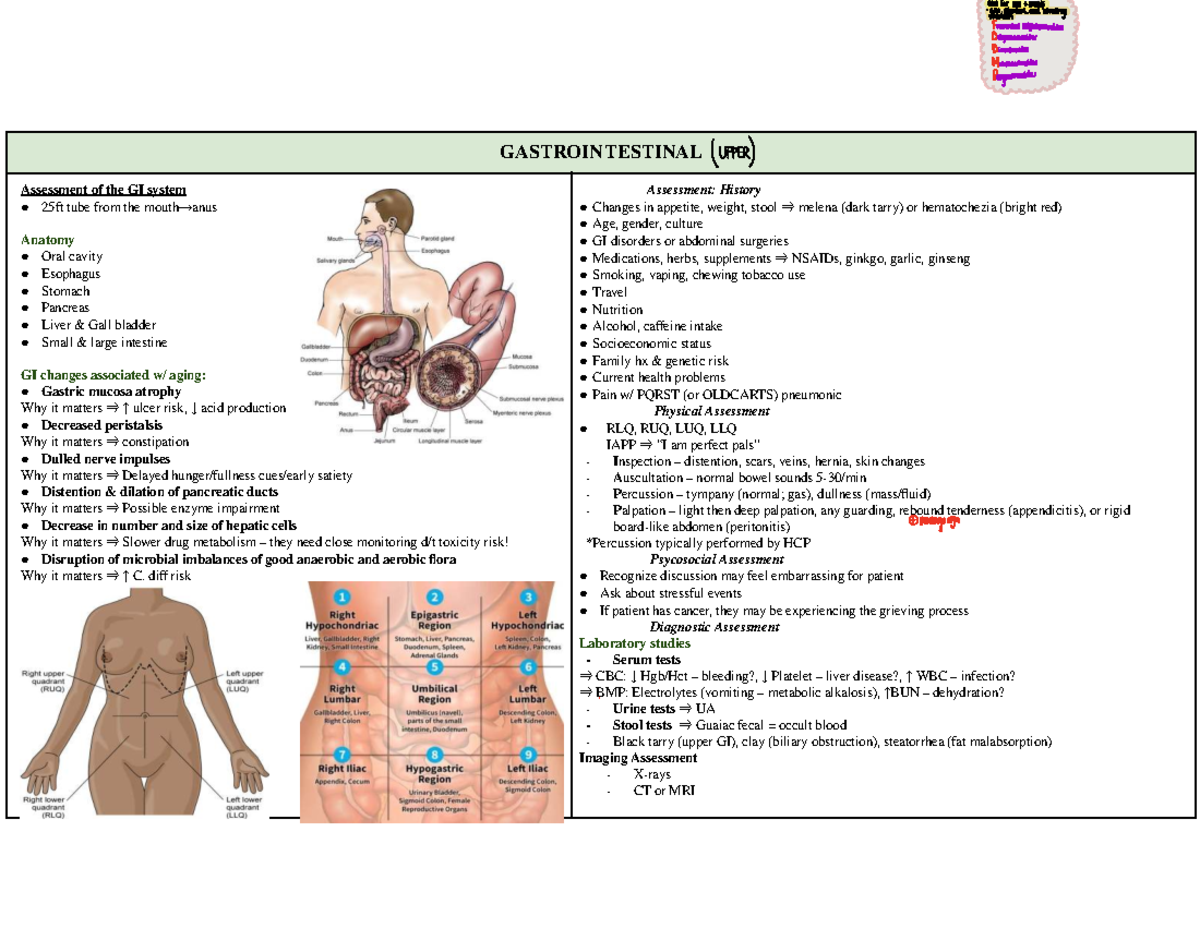 GI Med-Surg: Comprehensive Assessment of the Gastrointestinal System ...