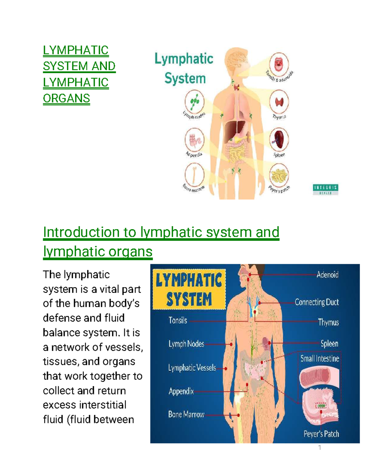 Lymphatic System and Organs Overview (LYMPATI) - Studocu