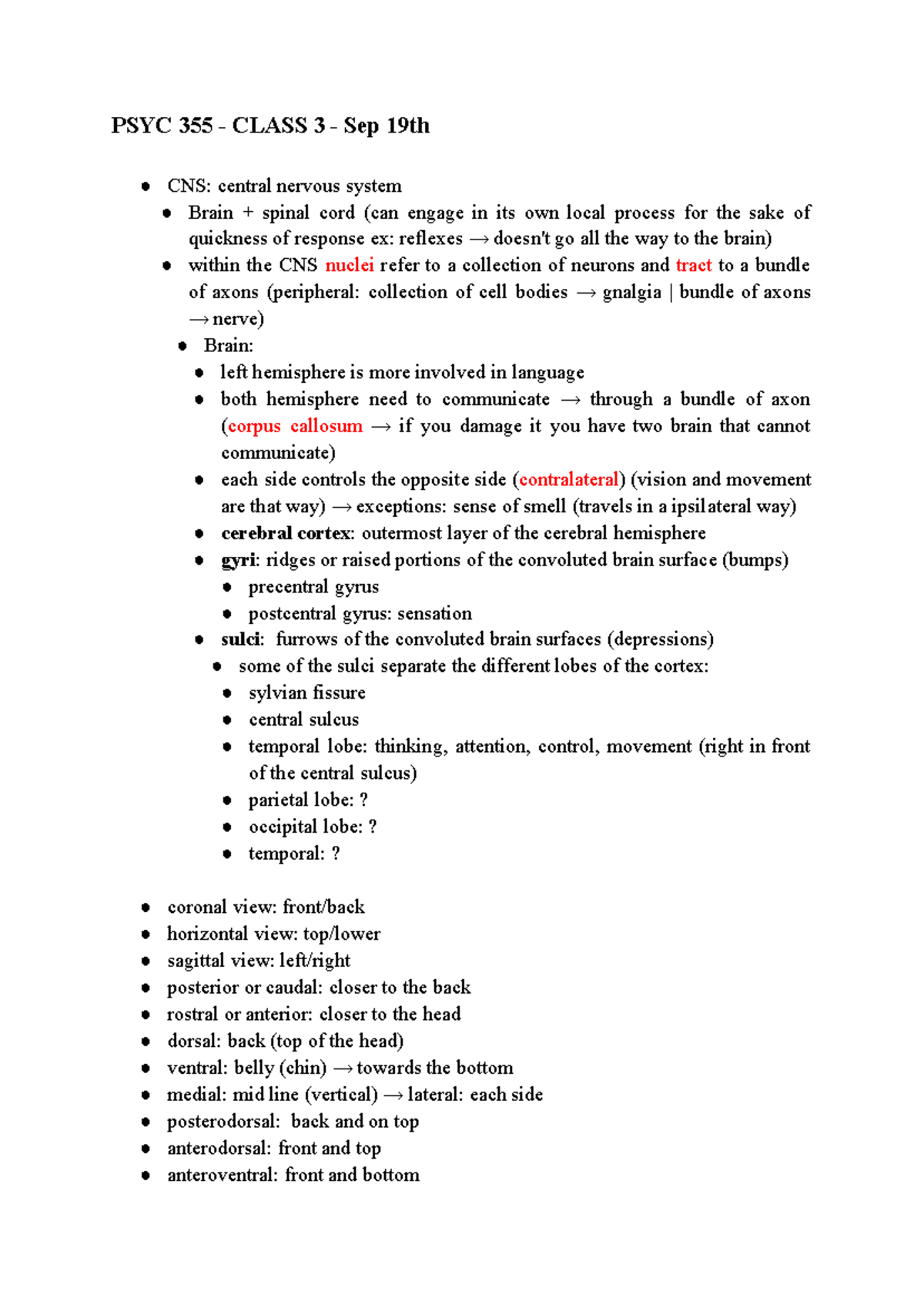 PSYC 355 - Class 3 - Sep 19th - PSYC 355 - CLASS 3 - Sep 19th CNS ...